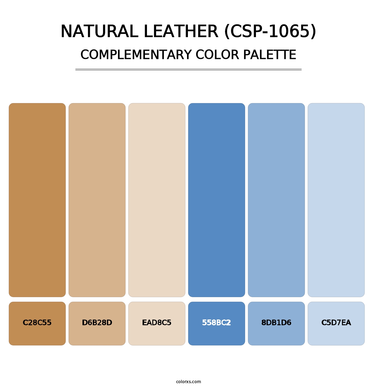 Natural Leather (CSP-1065) - Complementary Color Palette