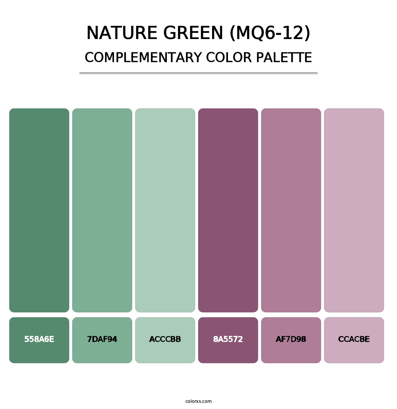 Nature Green (MQ6-12) - Complementary Color Palette