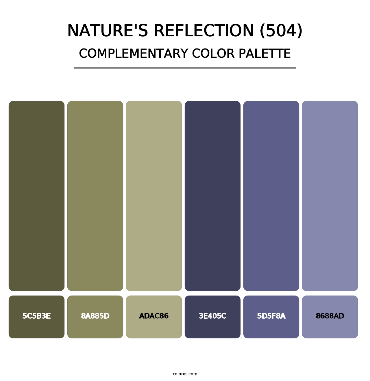 Nature's Reflection (504) - Complementary Color Palette