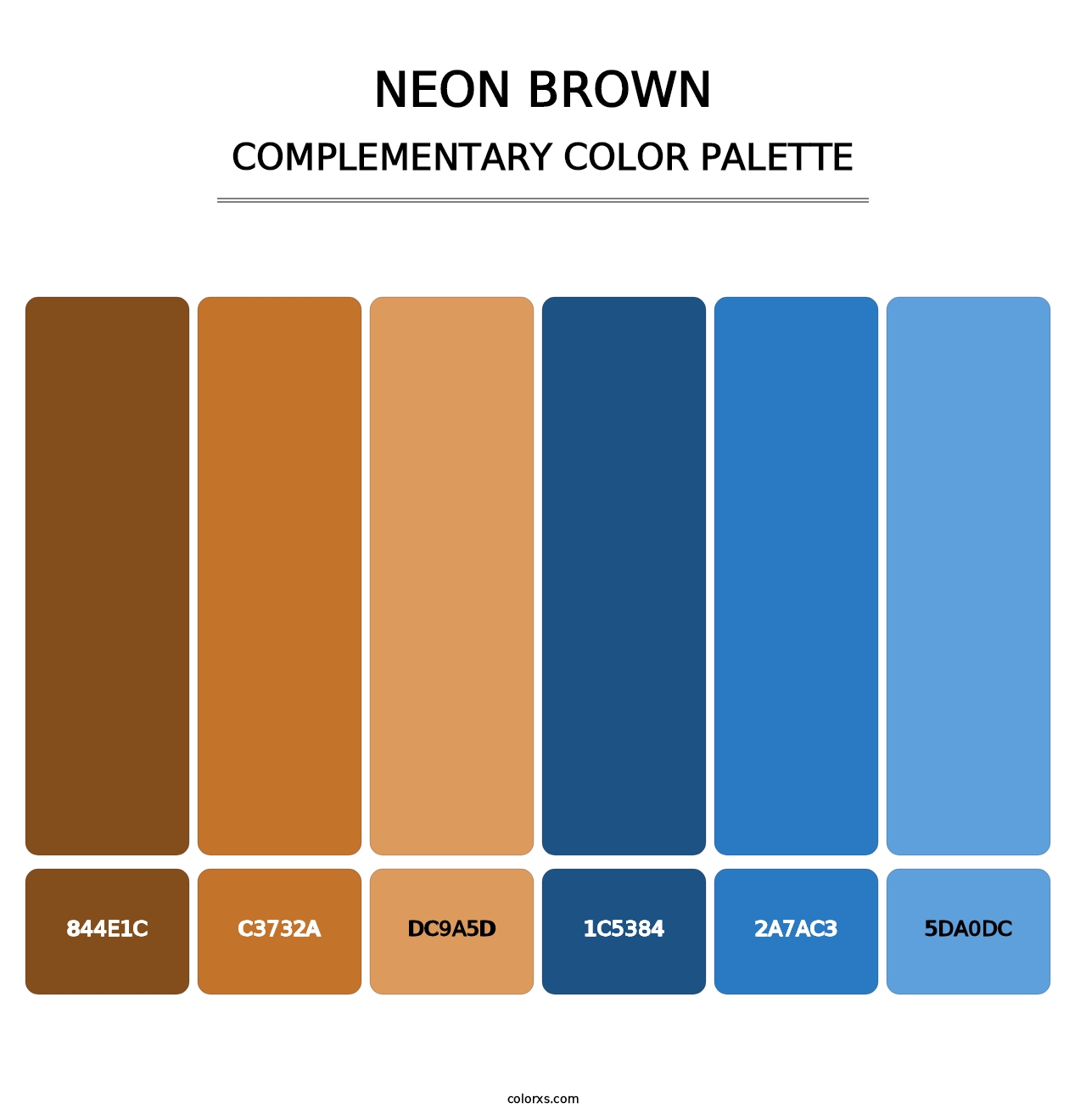 Neon Brown - Complementary Color Palette