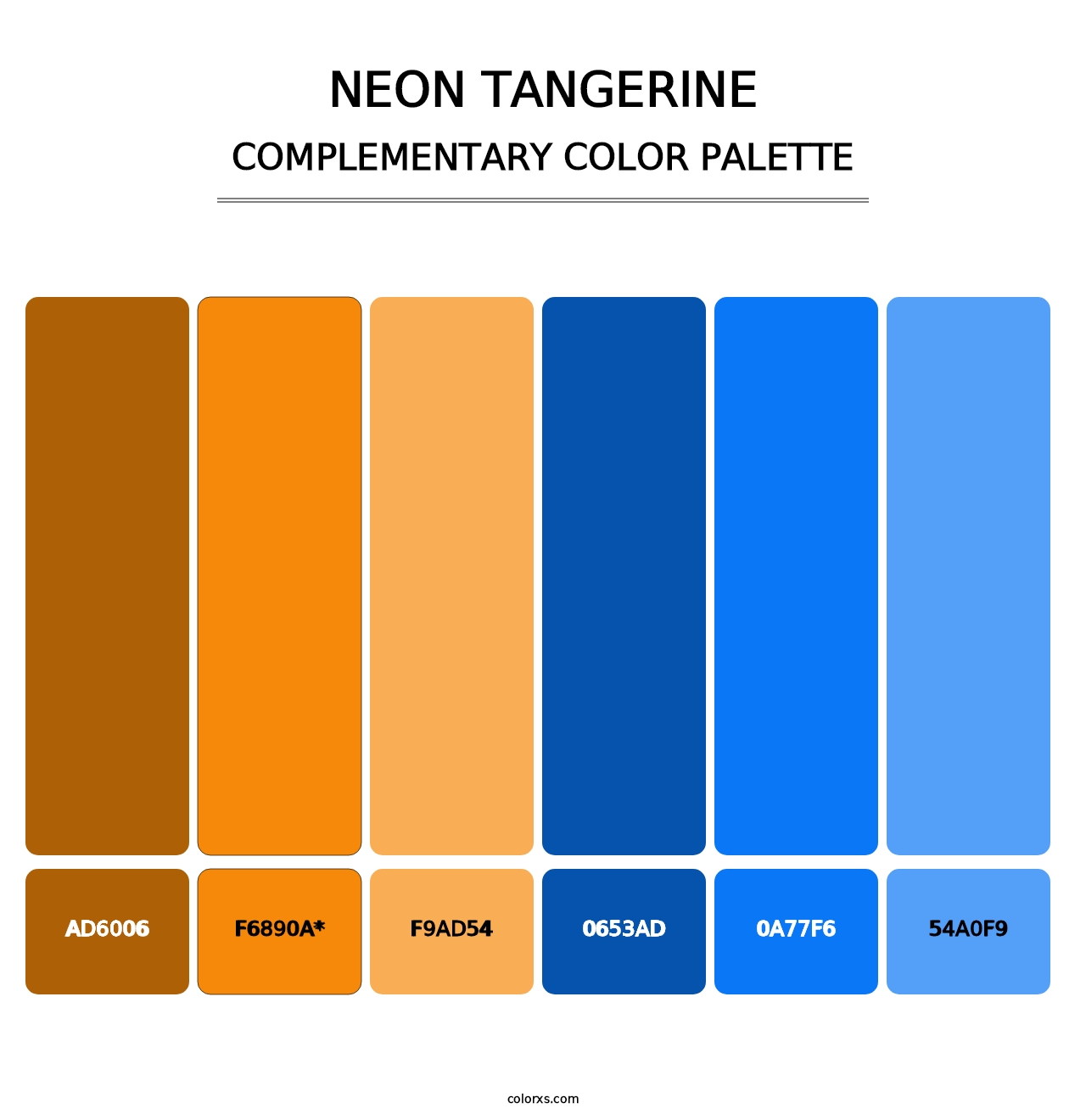 Neon Tangerine - Complementary Color Palette