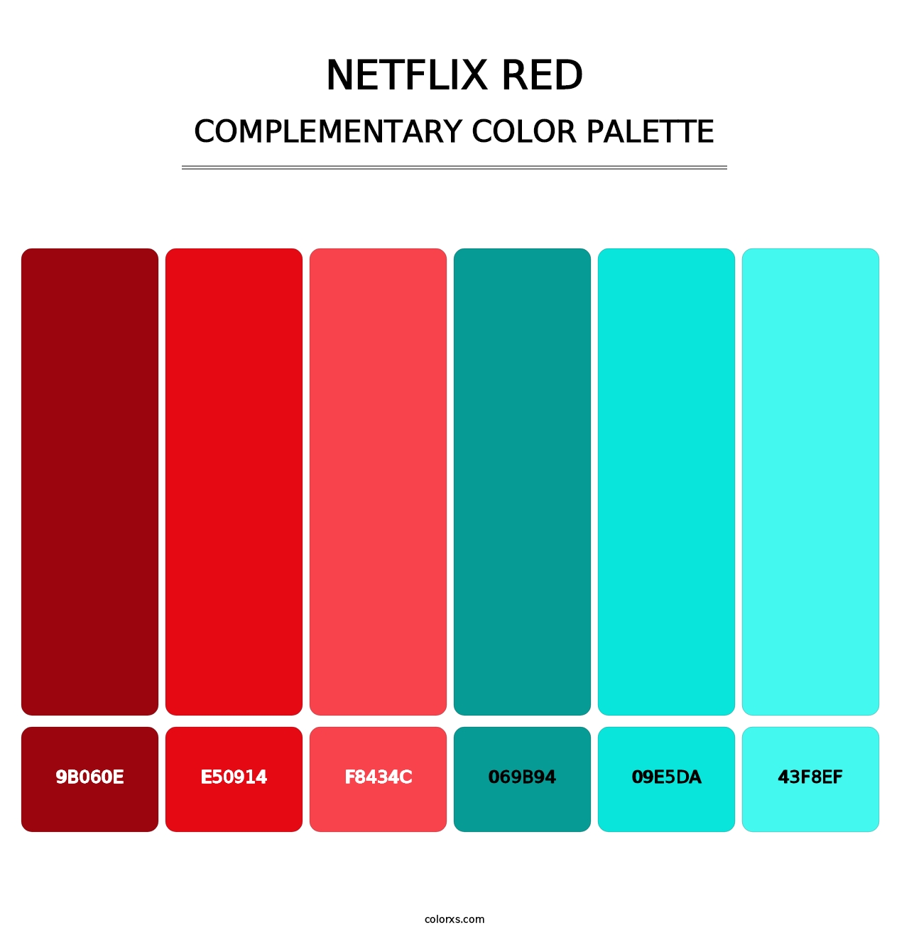 Netflix Red - Complementary Color Palette