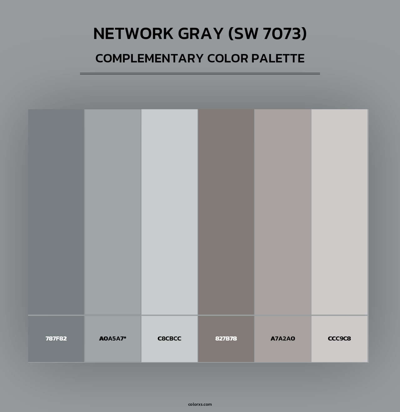 Network Gray (SW 7073) - Complementary Color Palette