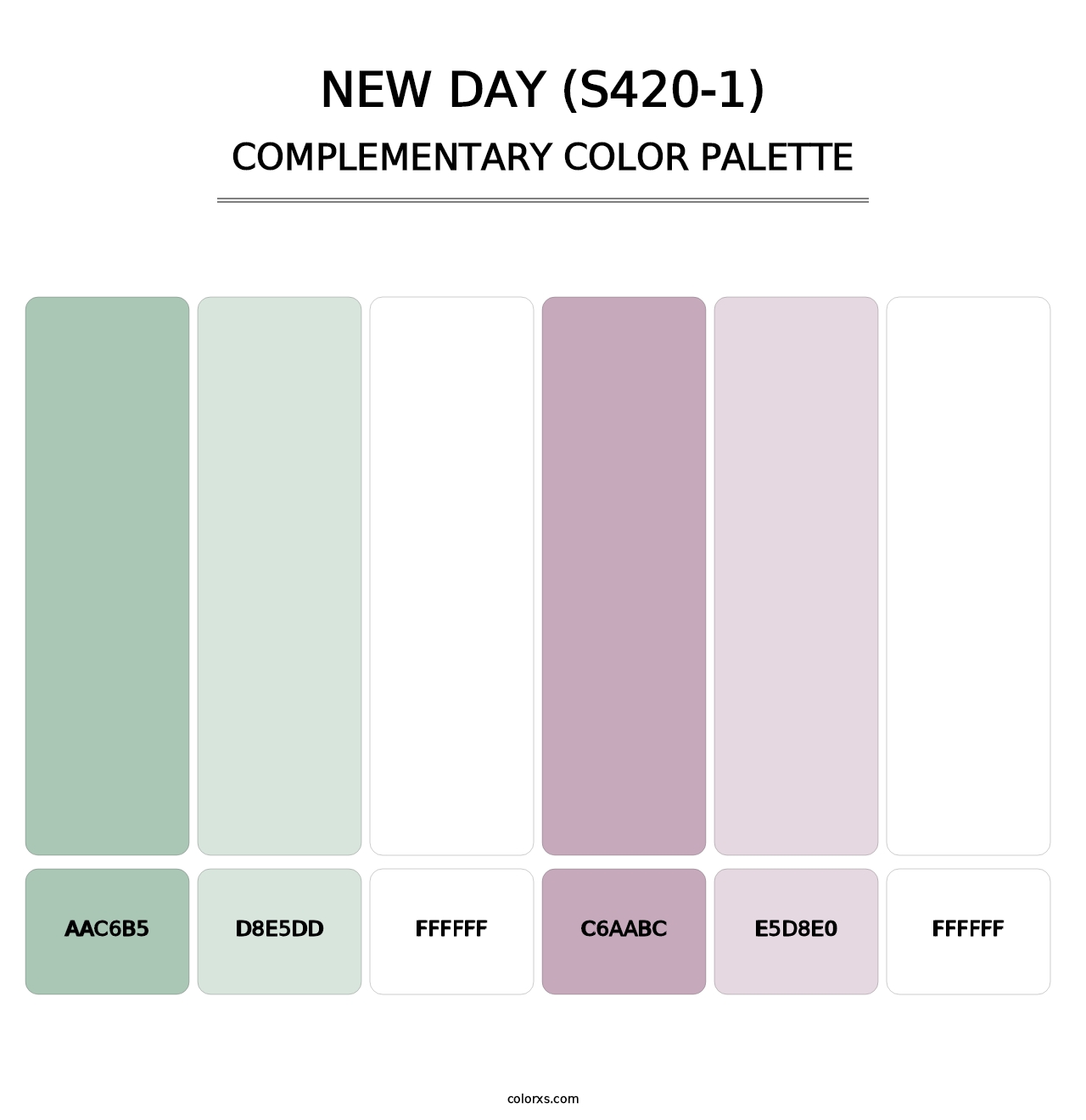 New Day (S420-1) - Complementary Color Palette