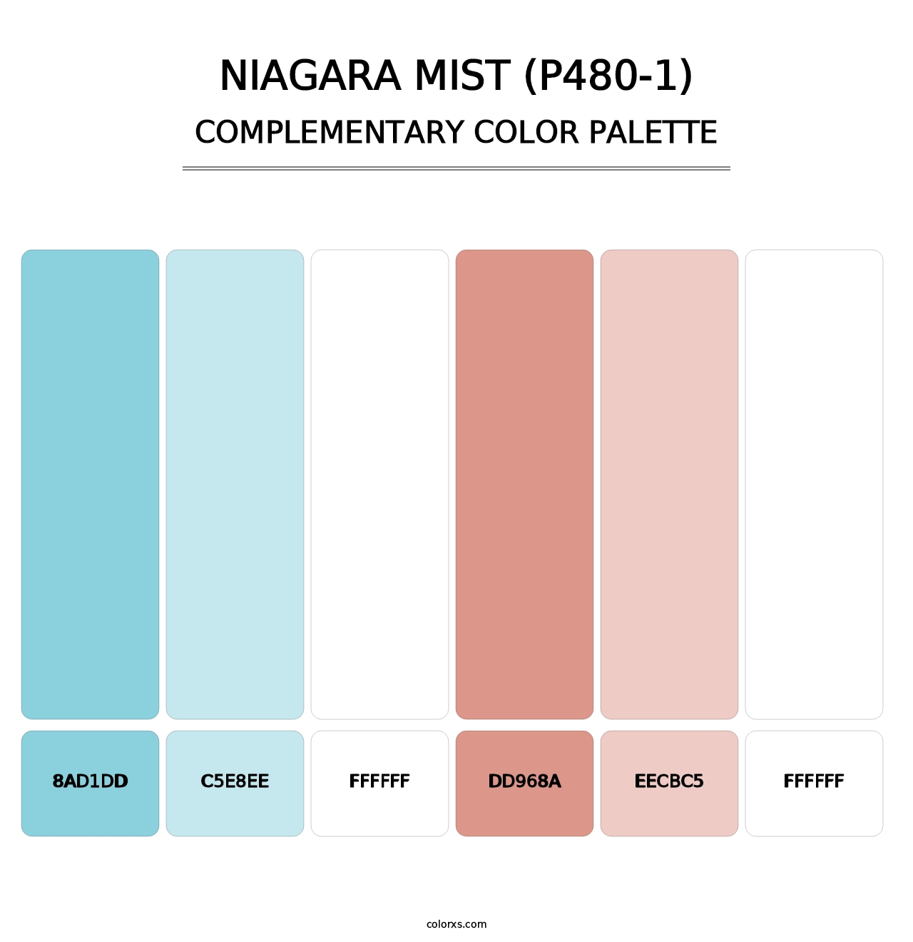 Niagara Mist (P480-1) - Complementary Color Palette