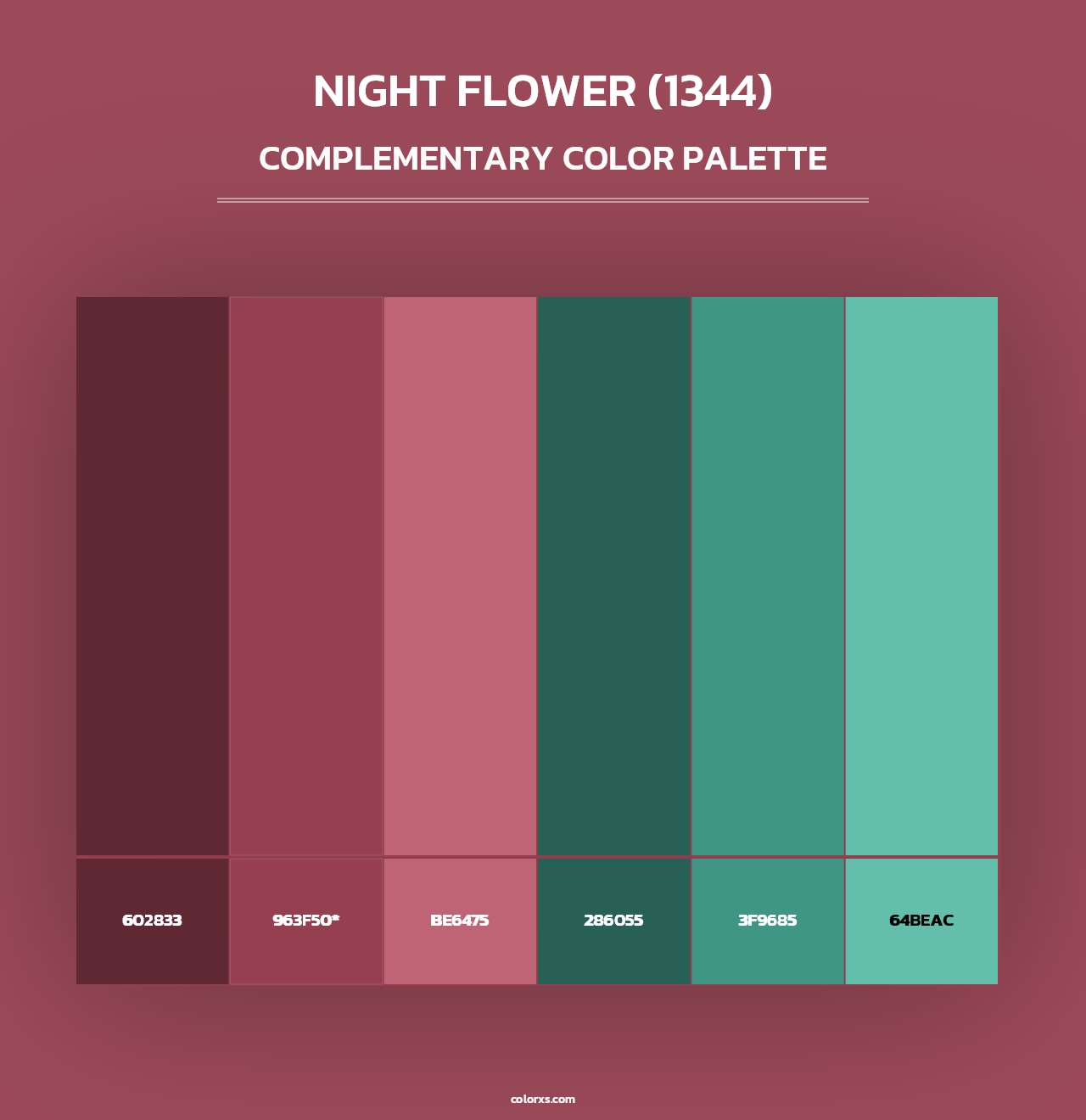 Night Flower (1344) - Complementary Color Palette