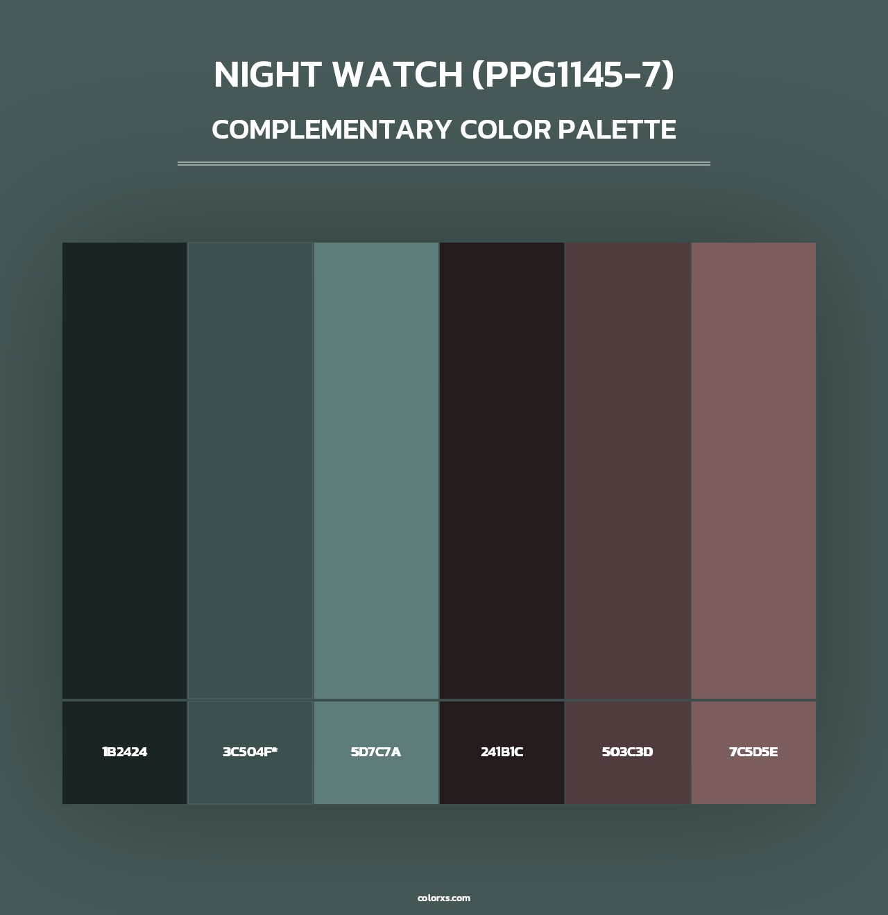 Night Watch (PPG1145-7) - Complementary Color Palette