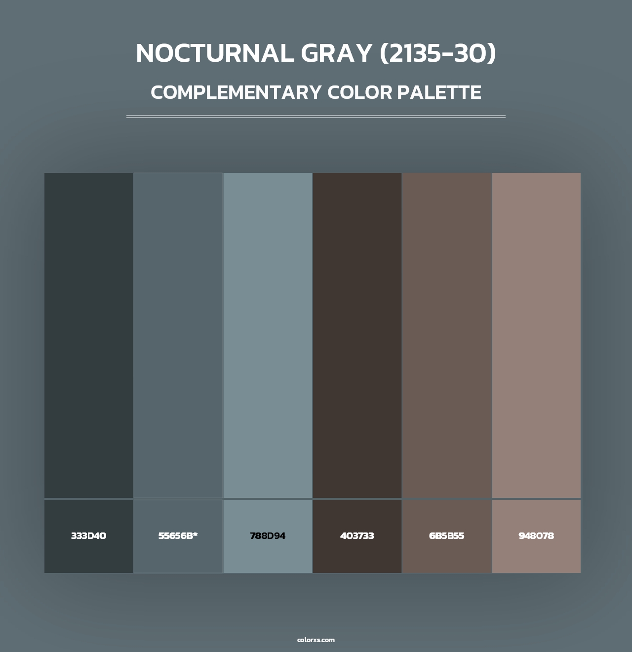 Nocturnal Gray (2135-30) - Complementary Color Palette