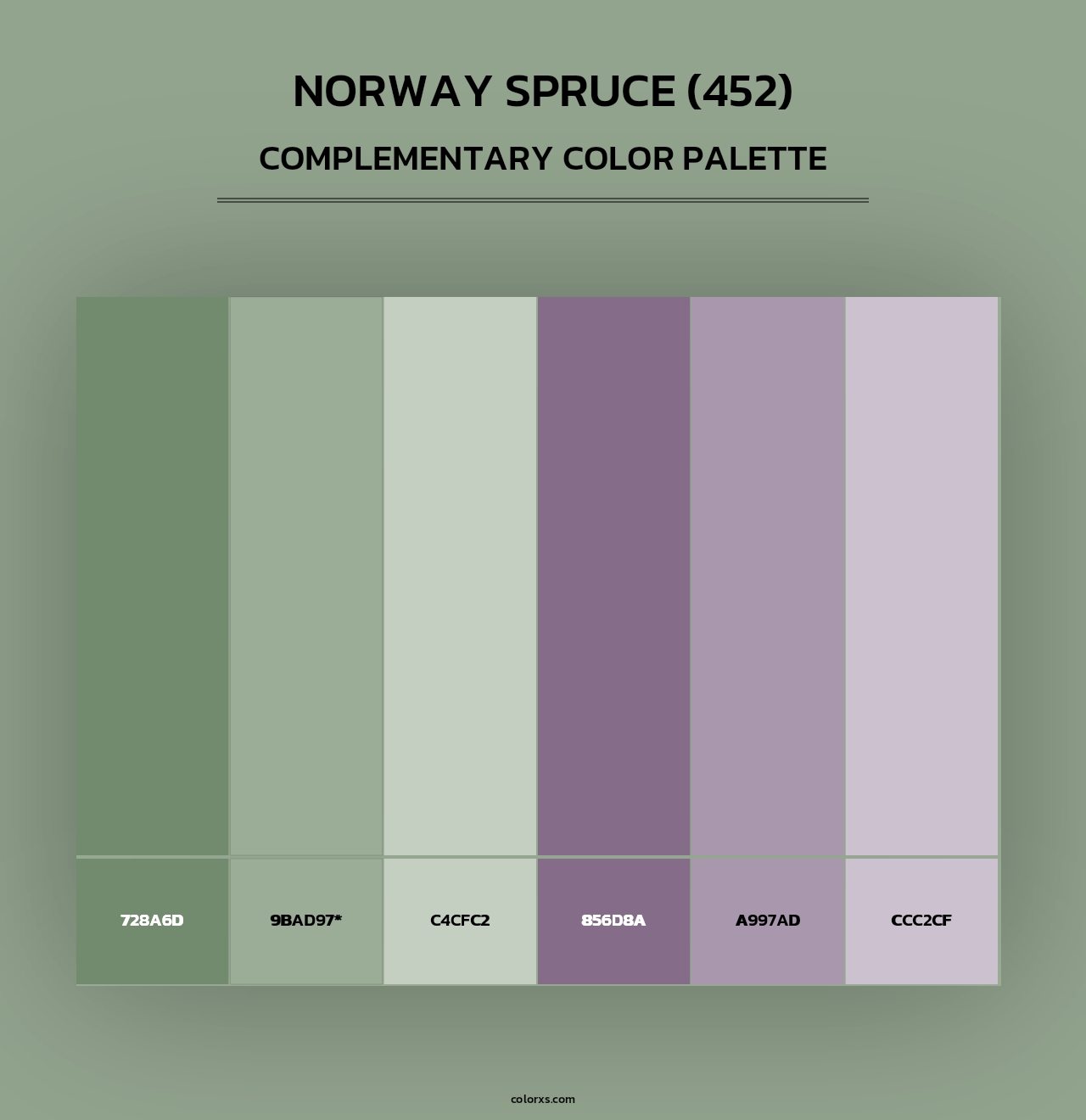 Norway Spruce (452) - Complementary Color Palette