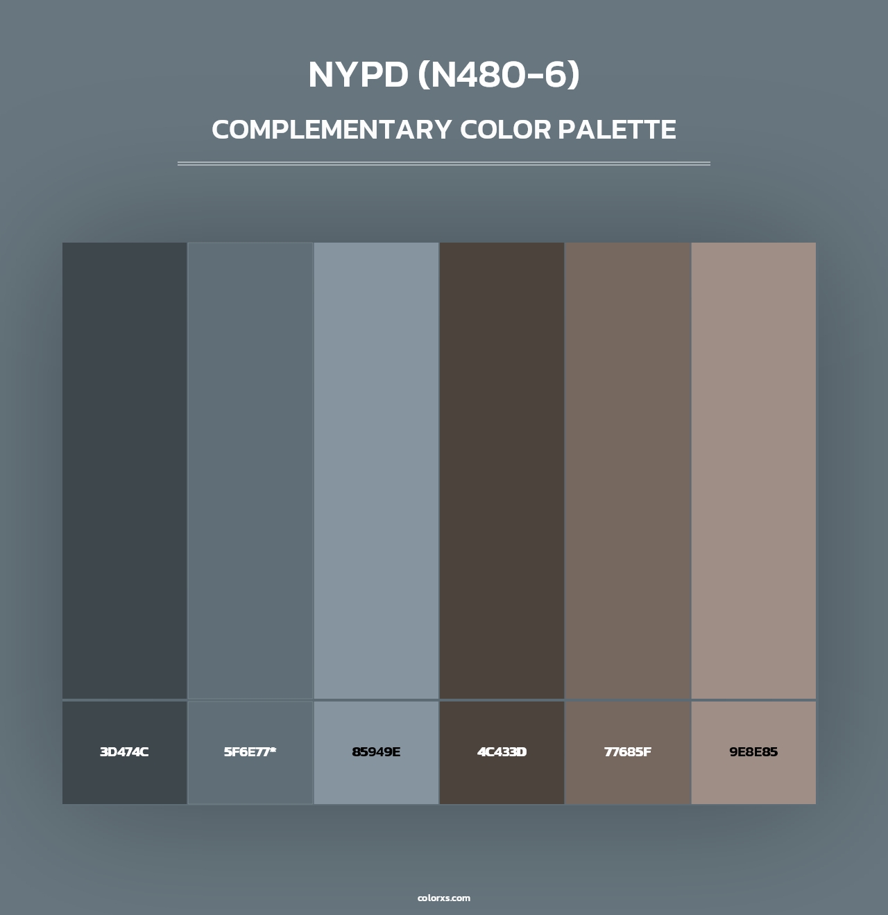 Nypd (N480-6) - Complementary Color Palette