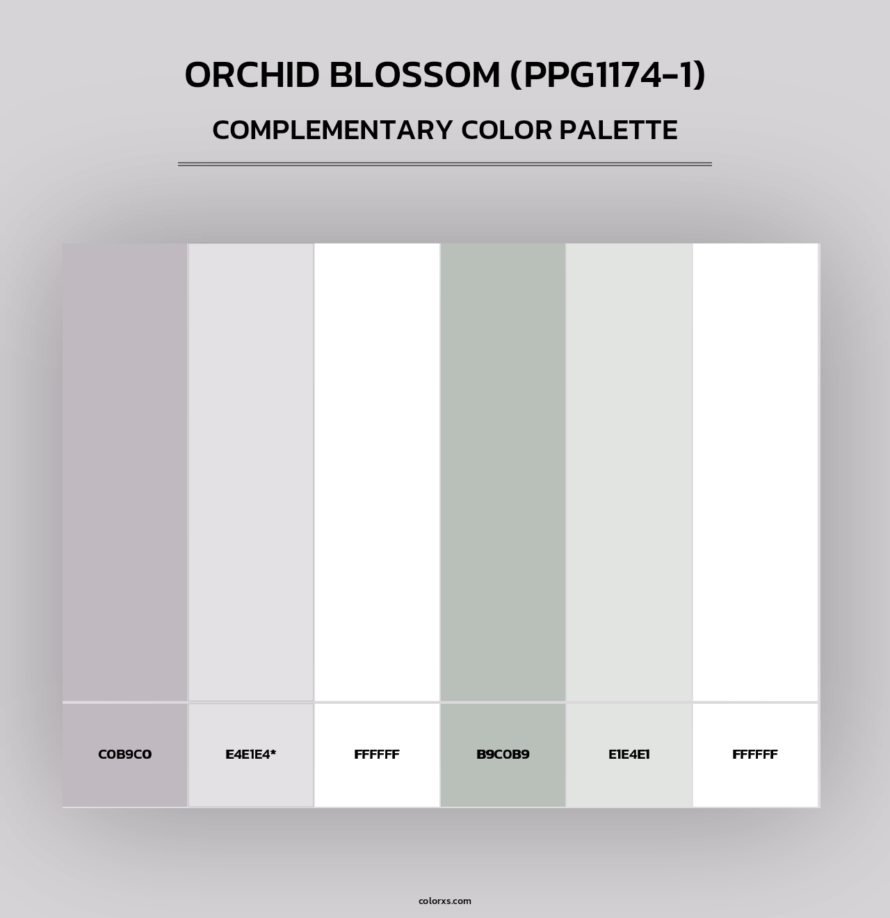 Orchid Blossom (PPG1174-1) - Complementary Color Palette