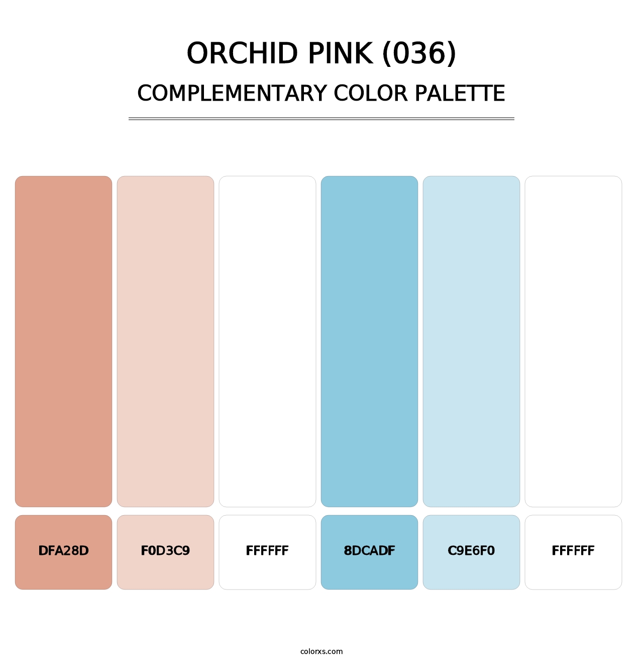 Orchid Pink (036) - Complementary Color Palette