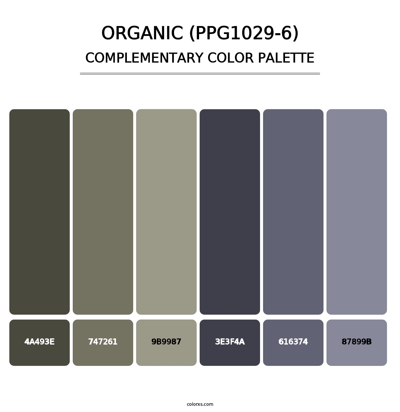 Organic (PPG1029-6) - Complementary Color Palette