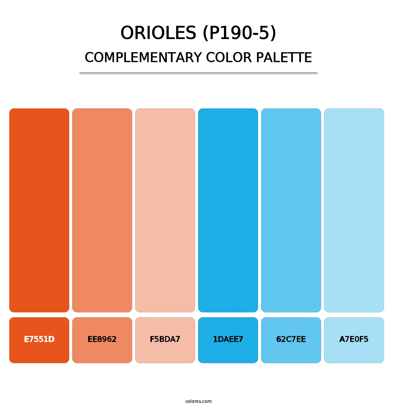 Orioles (P190-5) - Complementary Color Palette