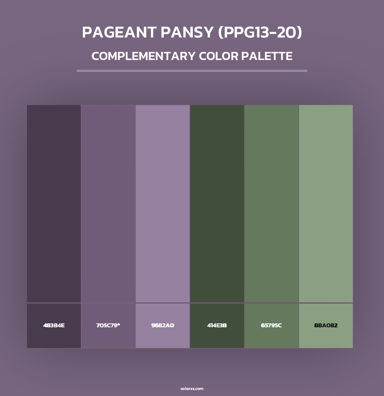 Pageant Pansy (PPG13-20) - Complementary Color Palette