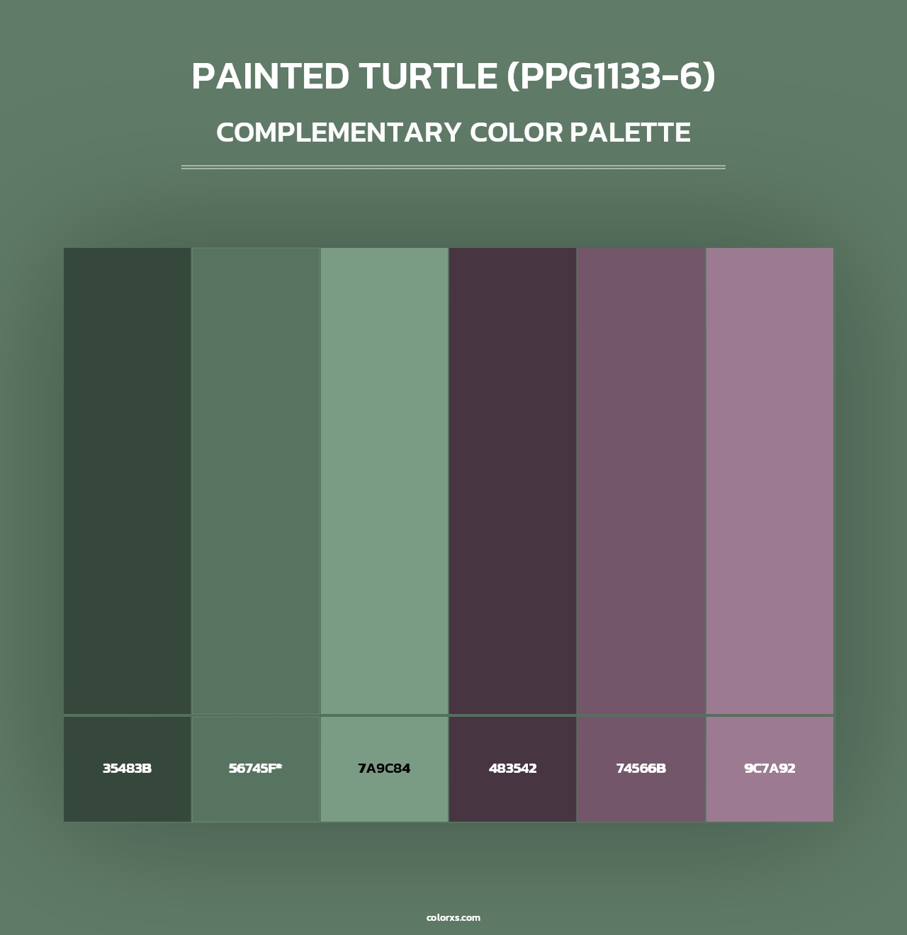 Painted Turtle (PPG1133-6) - Complementary Color Palette