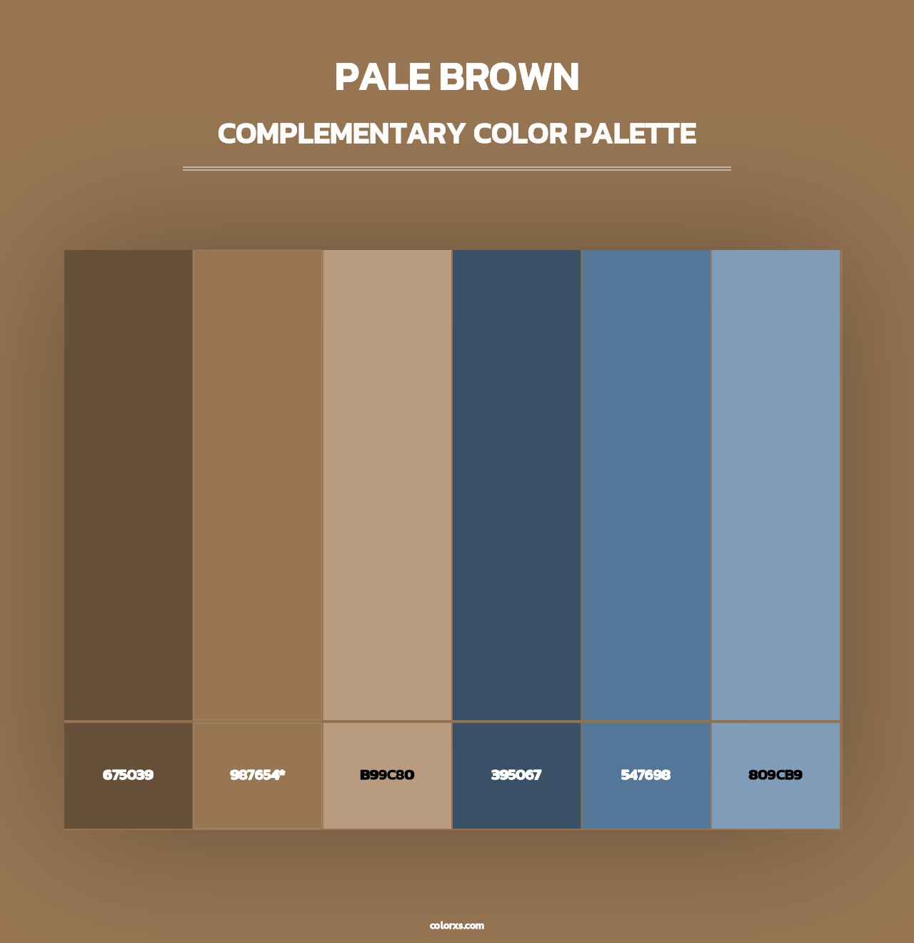 Pale Brown - Complementary Color Palette