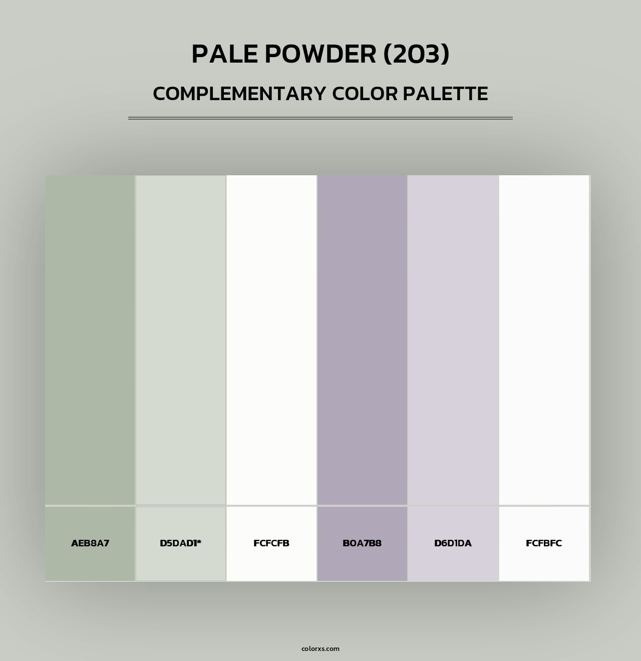 Pale Powder (203) - Complementary Color Palette