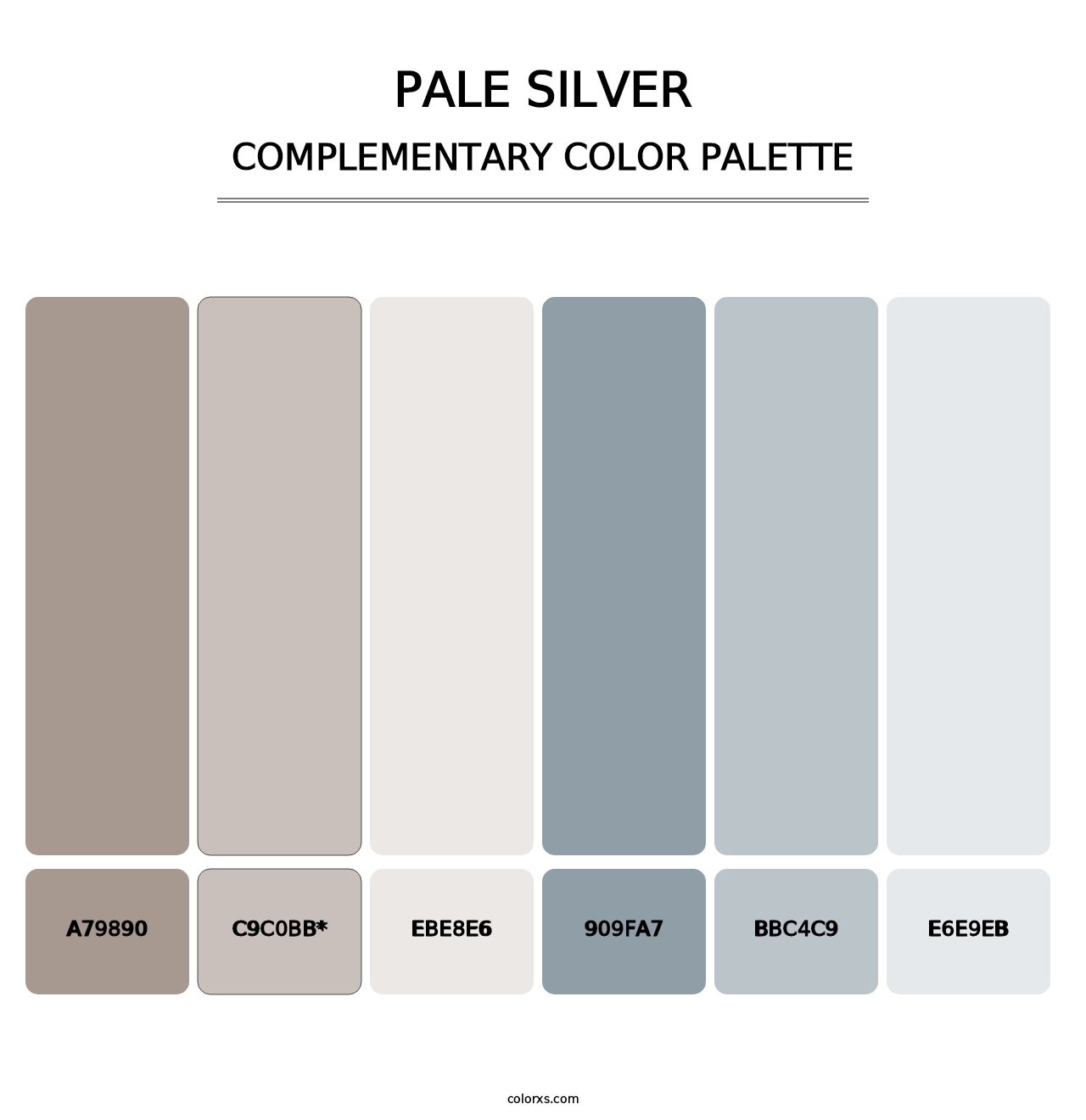 Pale Silver - Complementary Color Palette