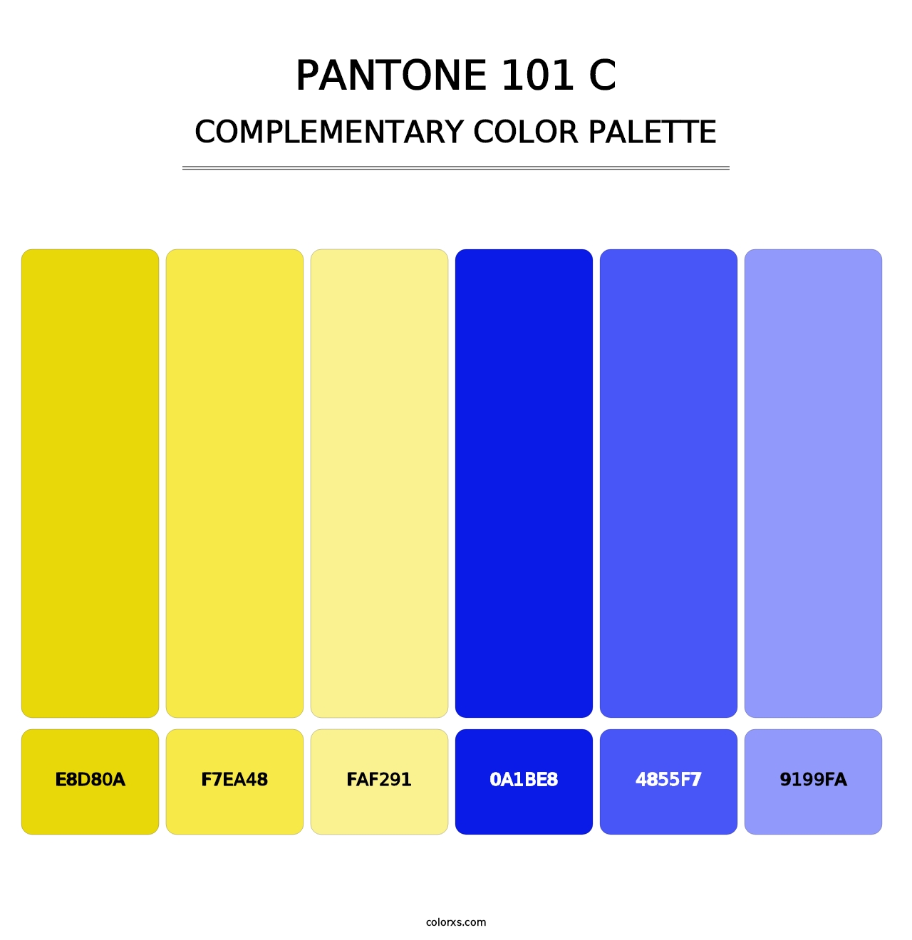 PANTONE 101 C - Complementary Color Palette