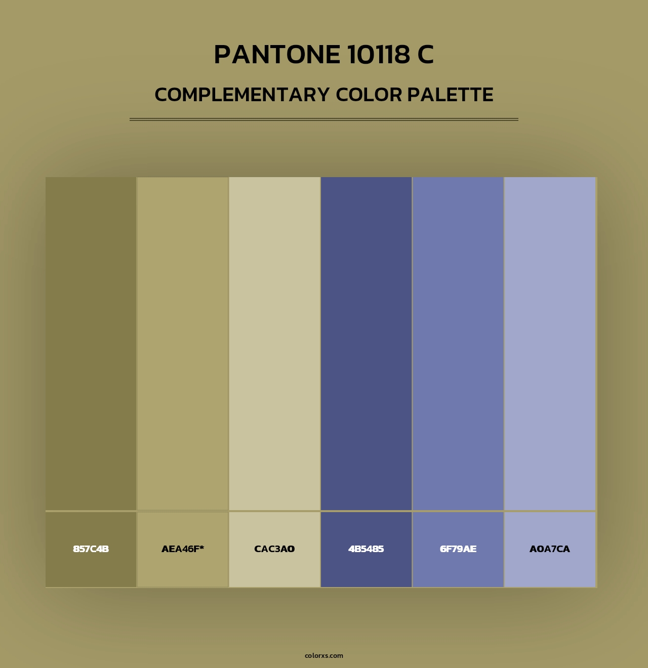 PANTONE 10118 C - Complementary Color Palette