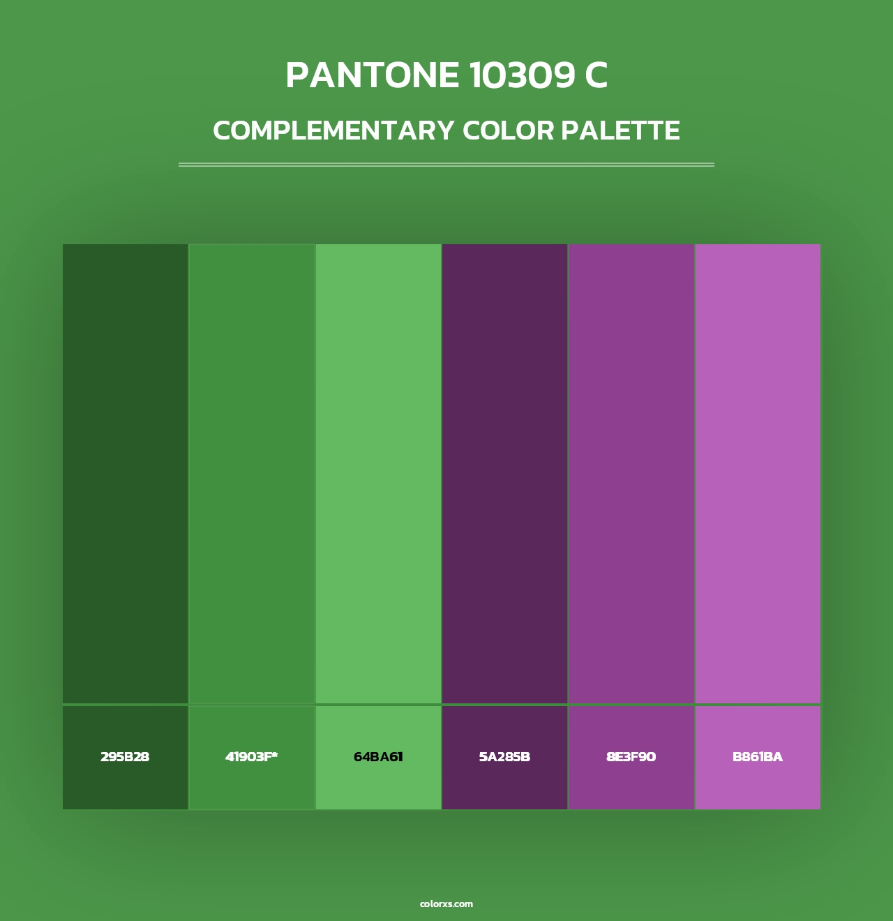 PANTONE 10309 C - Complementary Color Palette