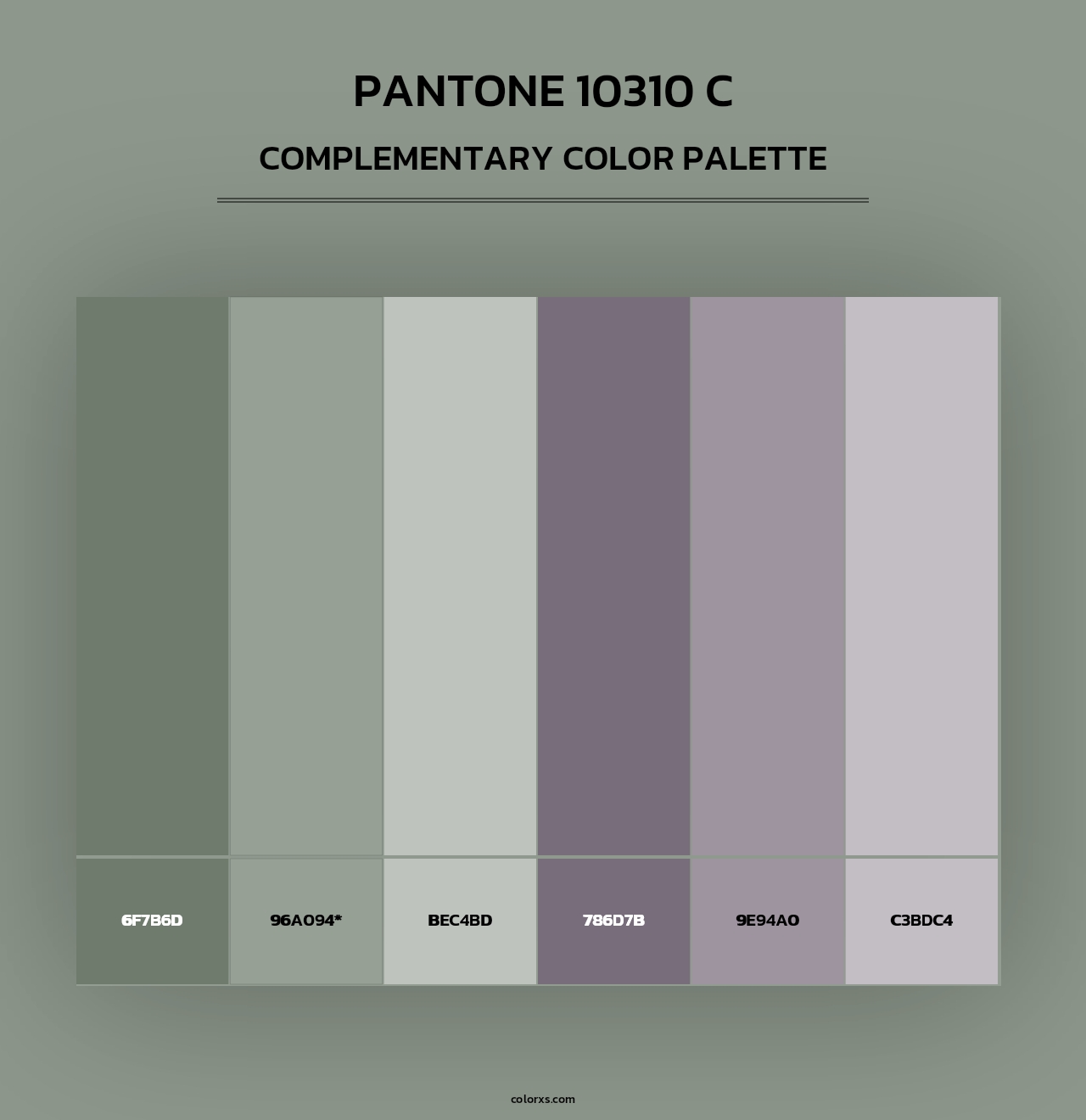 PANTONE 10310 C - Complementary Color Palette