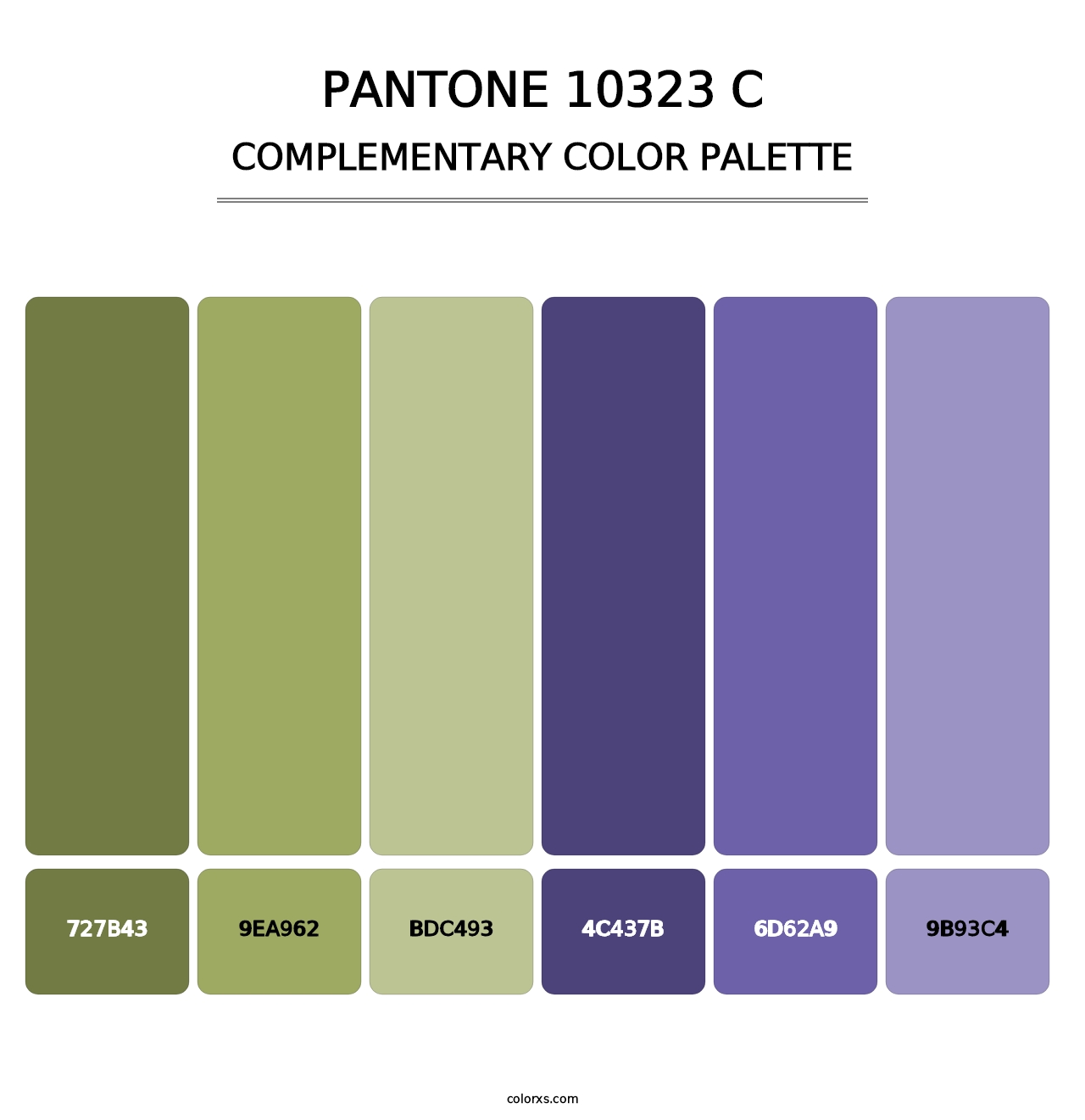 PANTONE 10323 C - Complementary Color Palette