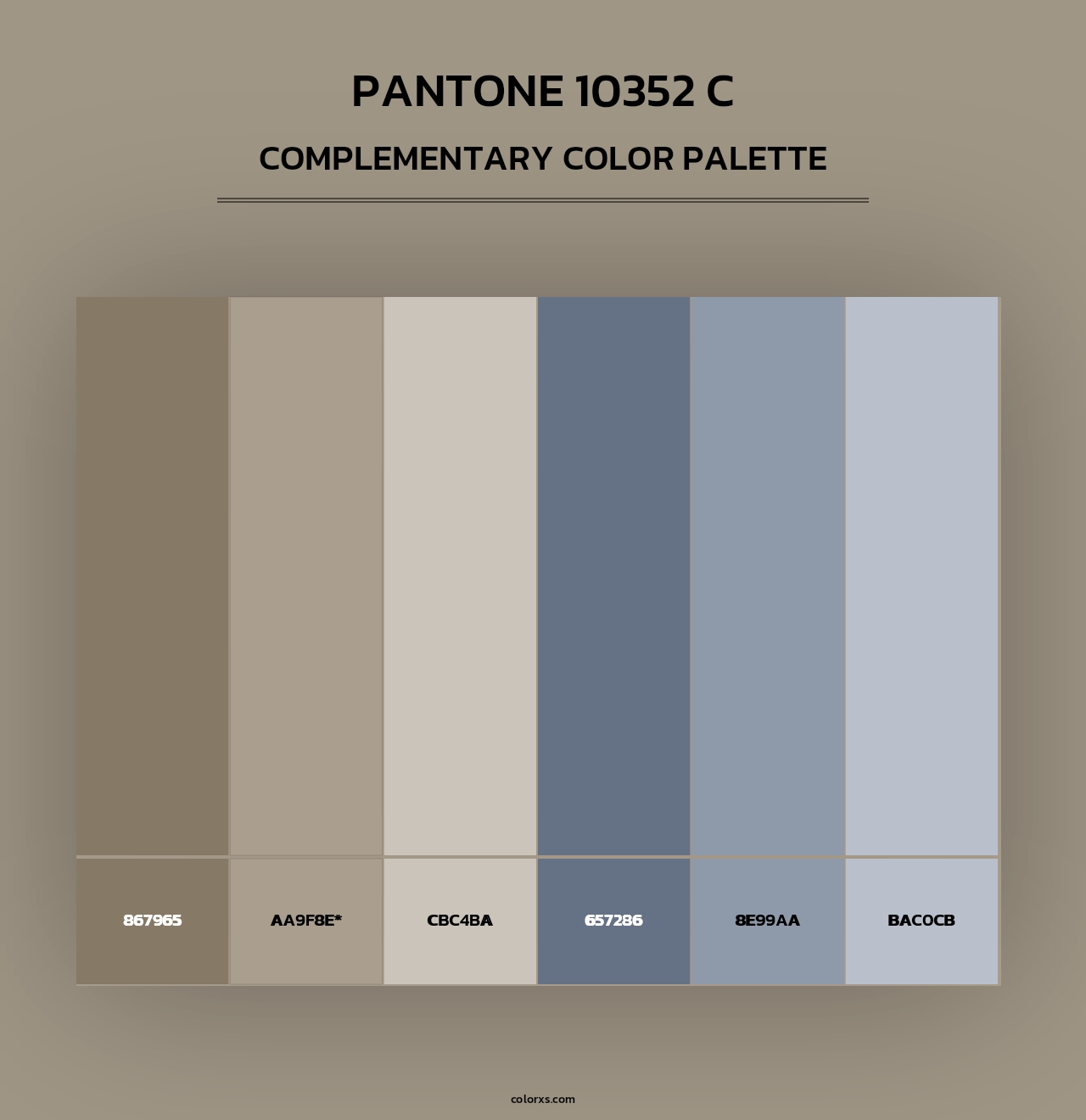 PANTONE 10352 C - Complementary Color Palette