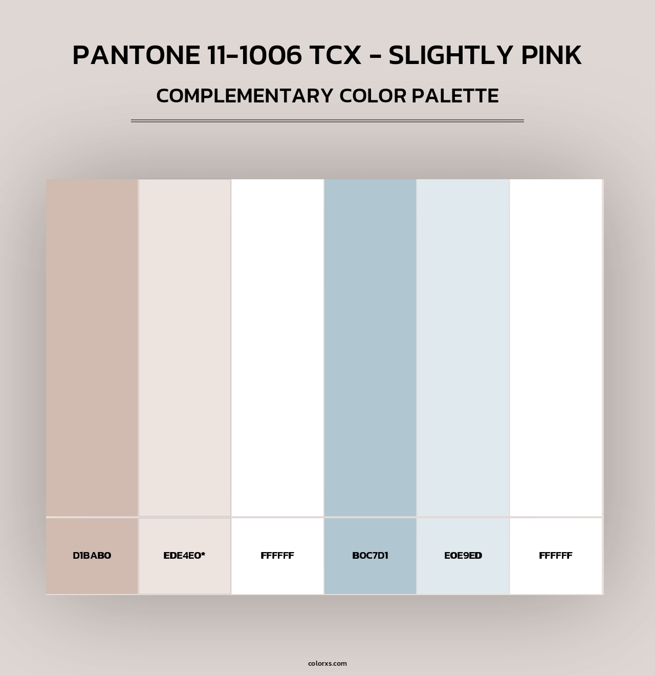 PANTONE 11-1006 TCX - Slightly Pink - Complementary Color Palette