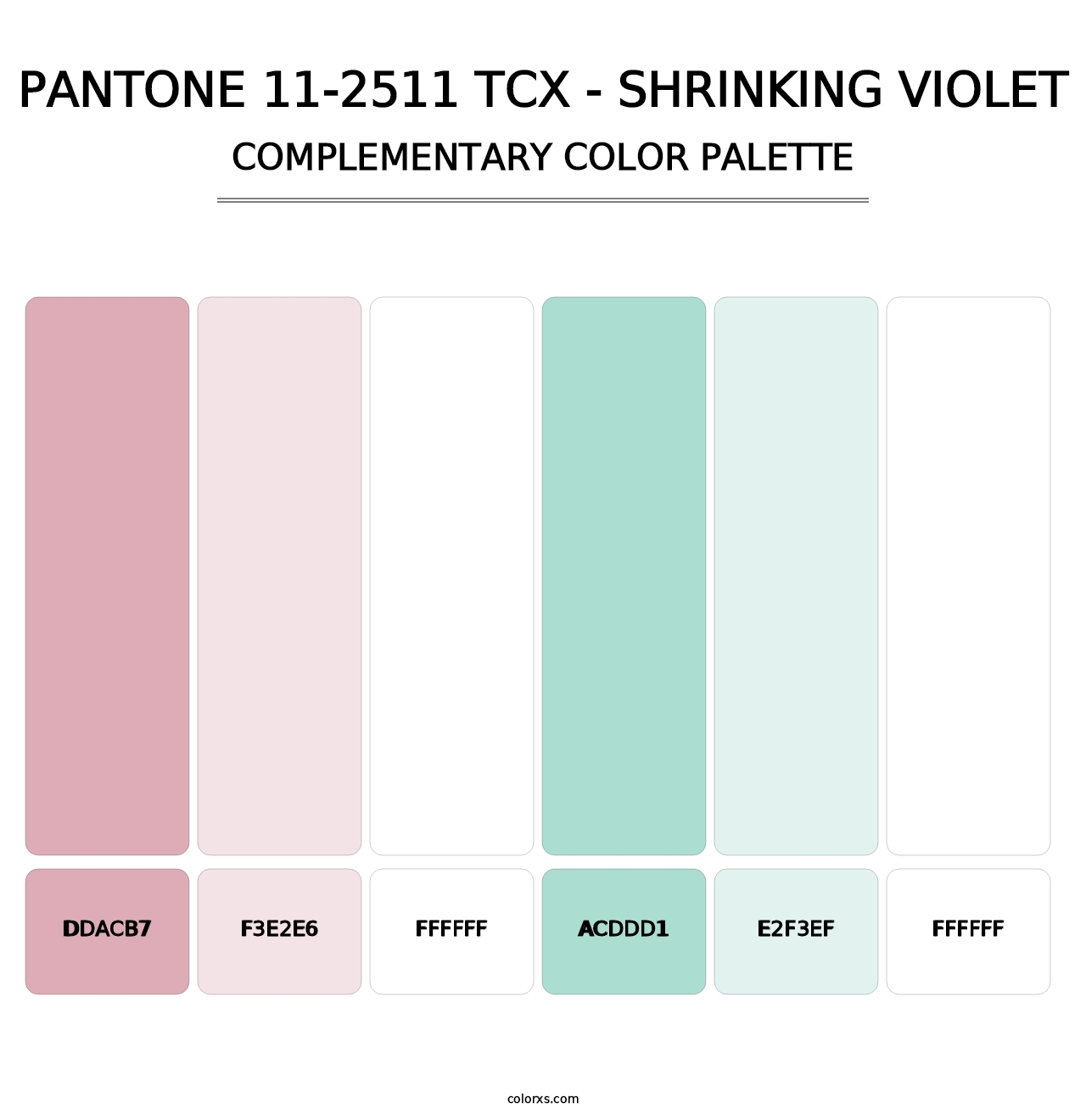 PANTONE 11-2511 TCX - Shrinking Violet - Complementary Color Palette