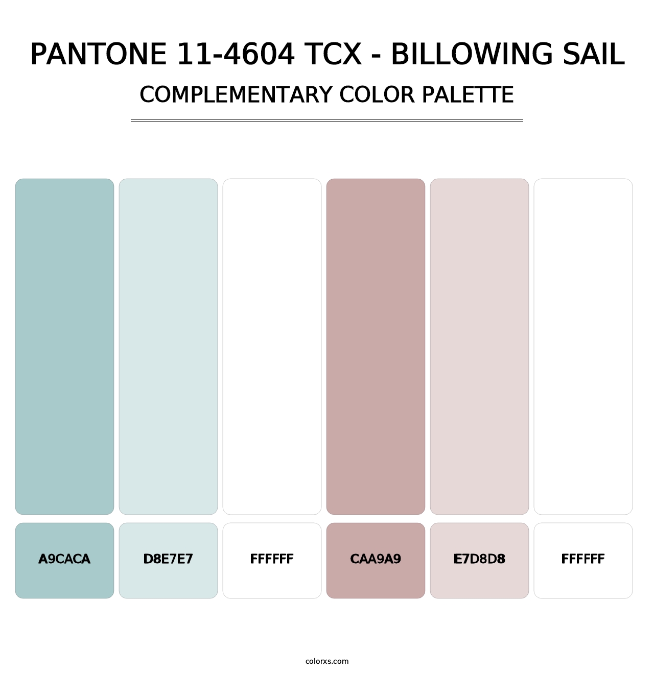 PANTONE 11-4604 TCX - Billowing Sail - Complementary Color Palette