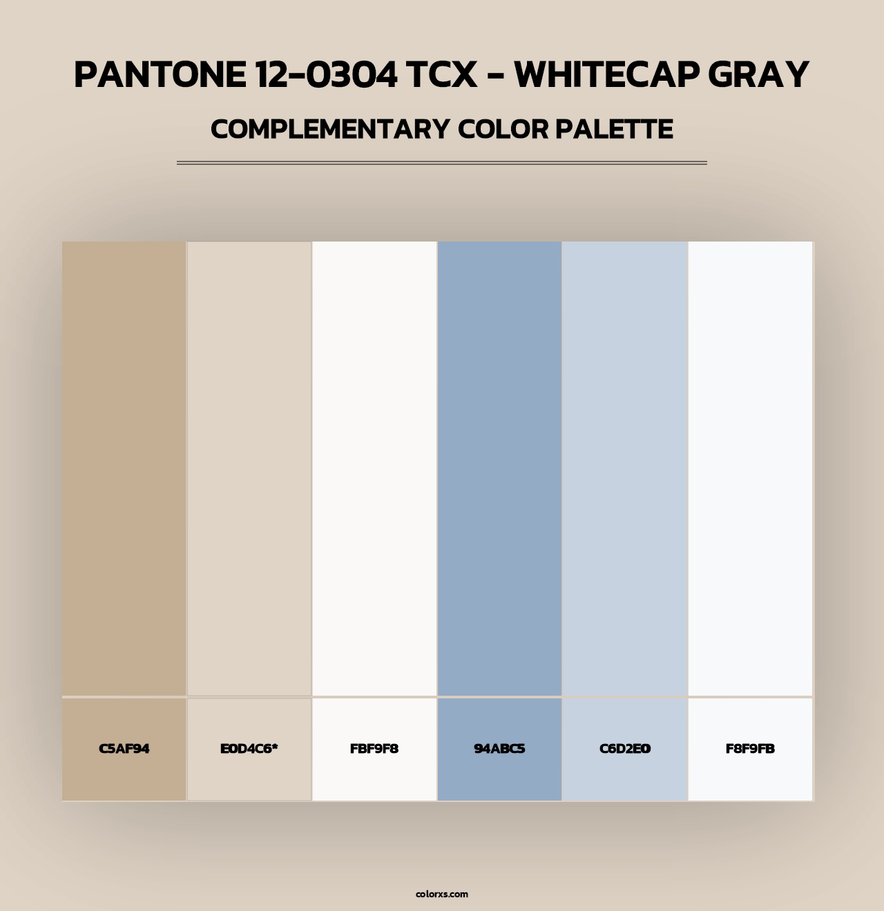 PANTONE 12-0304 TCX - Whitecap Gray - Complementary Color Palette