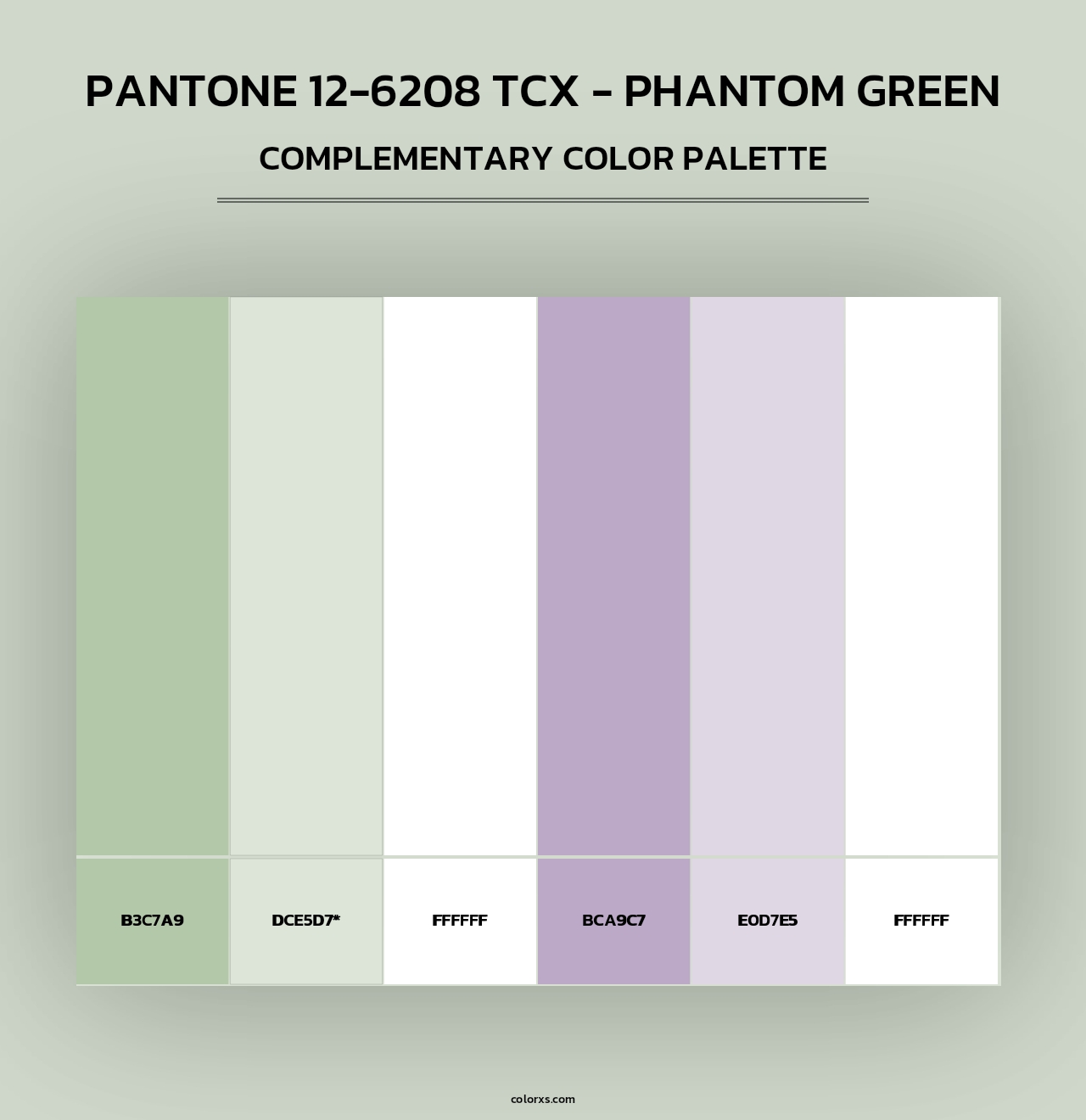 PANTONE 12-6208 TCX - Phantom Green - Complementary Color Palette