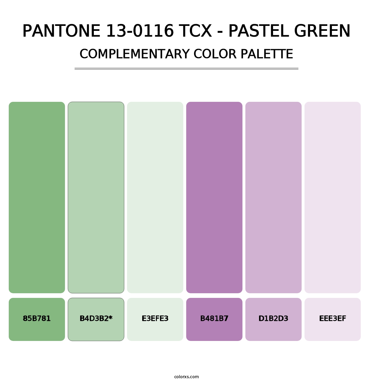 PANTONE 13-0116 TCX - Pastel Green - Complementary Color Palette