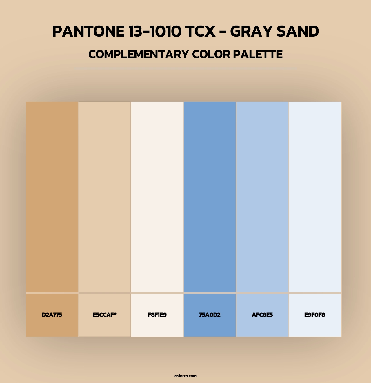 PANTONE 13-1010 TCX - Gray Sand - Complementary Color Palette