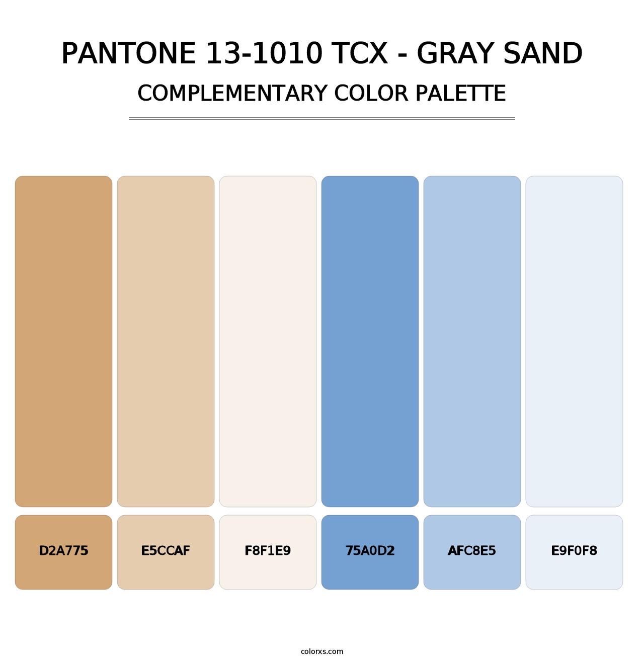 PANTONE 13-1010 TCX - Gray Sand - Complementary Color Palette