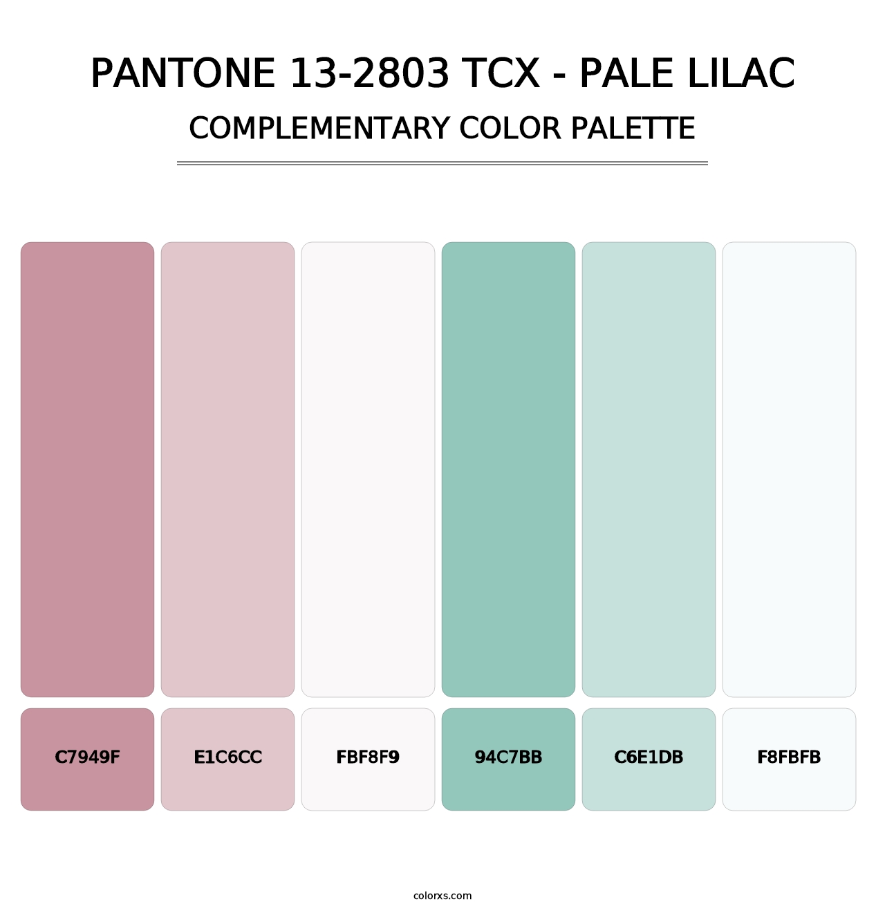 PANTONE 13-2803 TCX - Pale Lilac - Complementary Color Palette