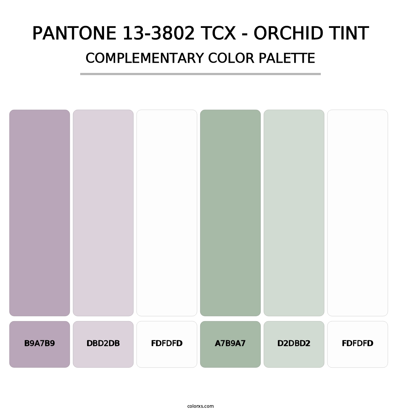PANTONE 13-3802 TCX - Orchid Tint - Complementary Color Palette