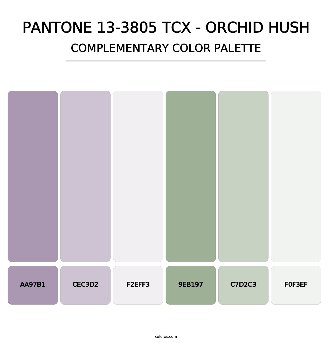 PANTONE 13-3805 TCX - Orchid Hush - Complementary Color Palette