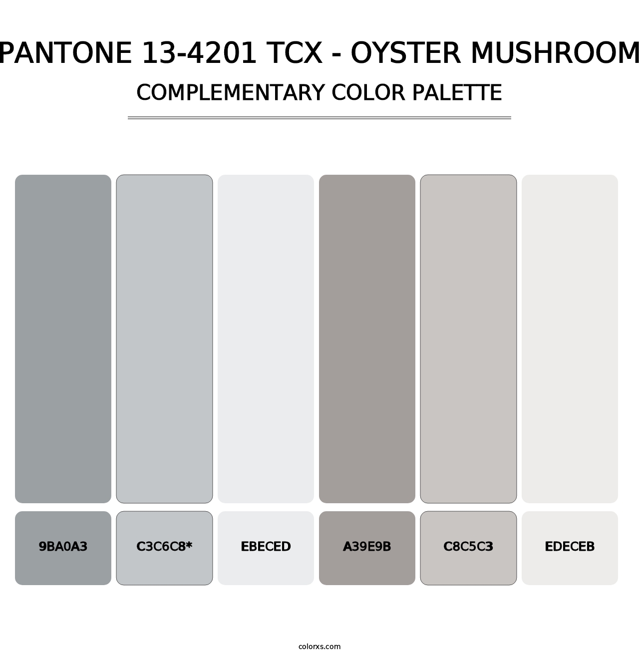PANTONE 13-4201 TCX - Oyster Mushroom - Complementary Color Palette