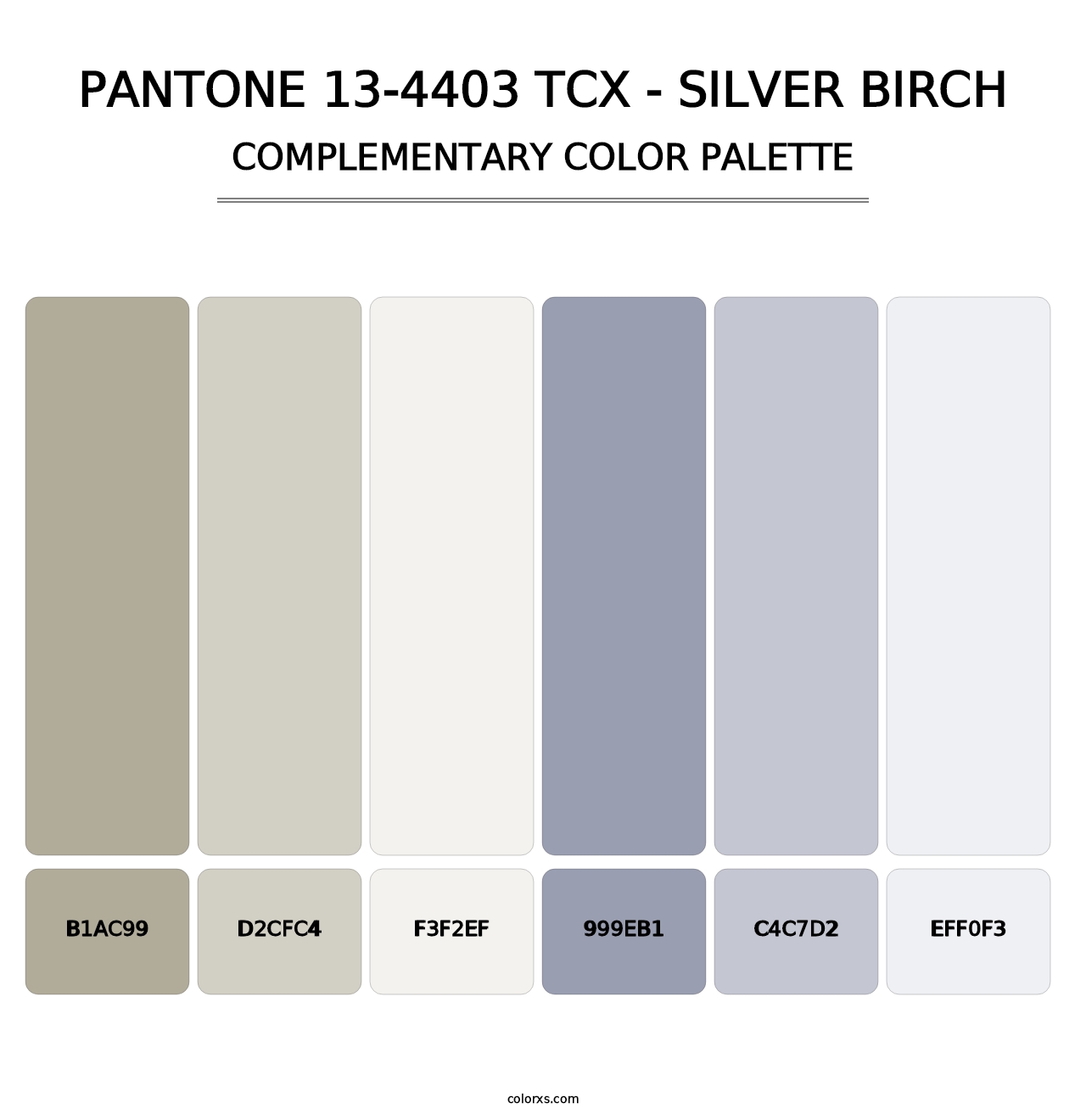 PANTONE 13-4403 TCX - Silver Birch - Complementary Color Palette