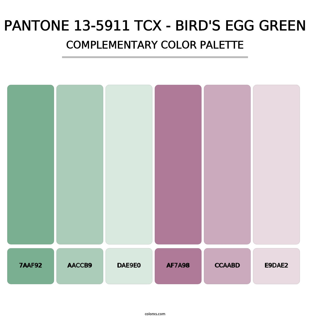 PANTONE 13-5911 TCX - Bird's Egg Green - Complementary Color Palette