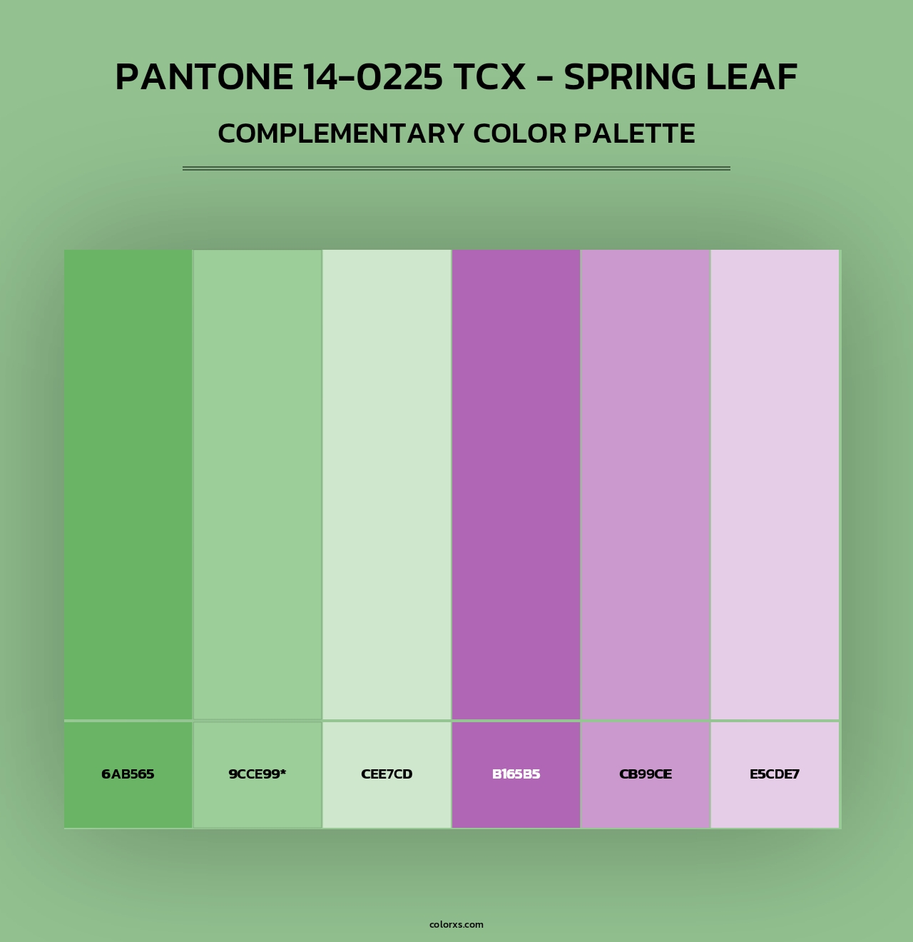 PANTONE 14-0225 TCX - Spring Leaf - Complementary Color Palette