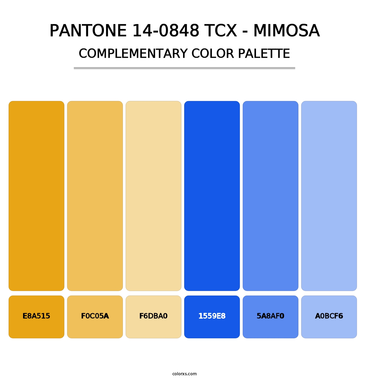 PANTONE 14-0848 TCX - Mimosa - Complementary Color Palette