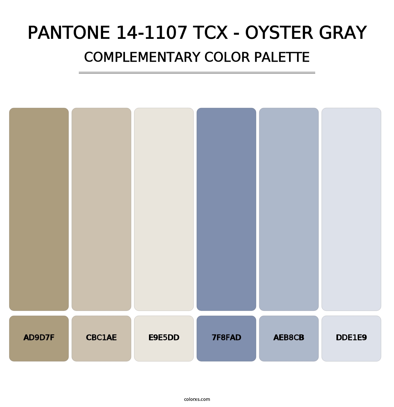 PANTONE 14-1107 TCX - Oyster Gray - Complementary Color Palette