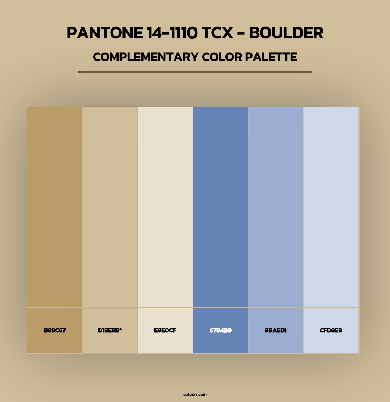 PANTONE 14-1110 TCX - Boulder - Complementary Color Palette
