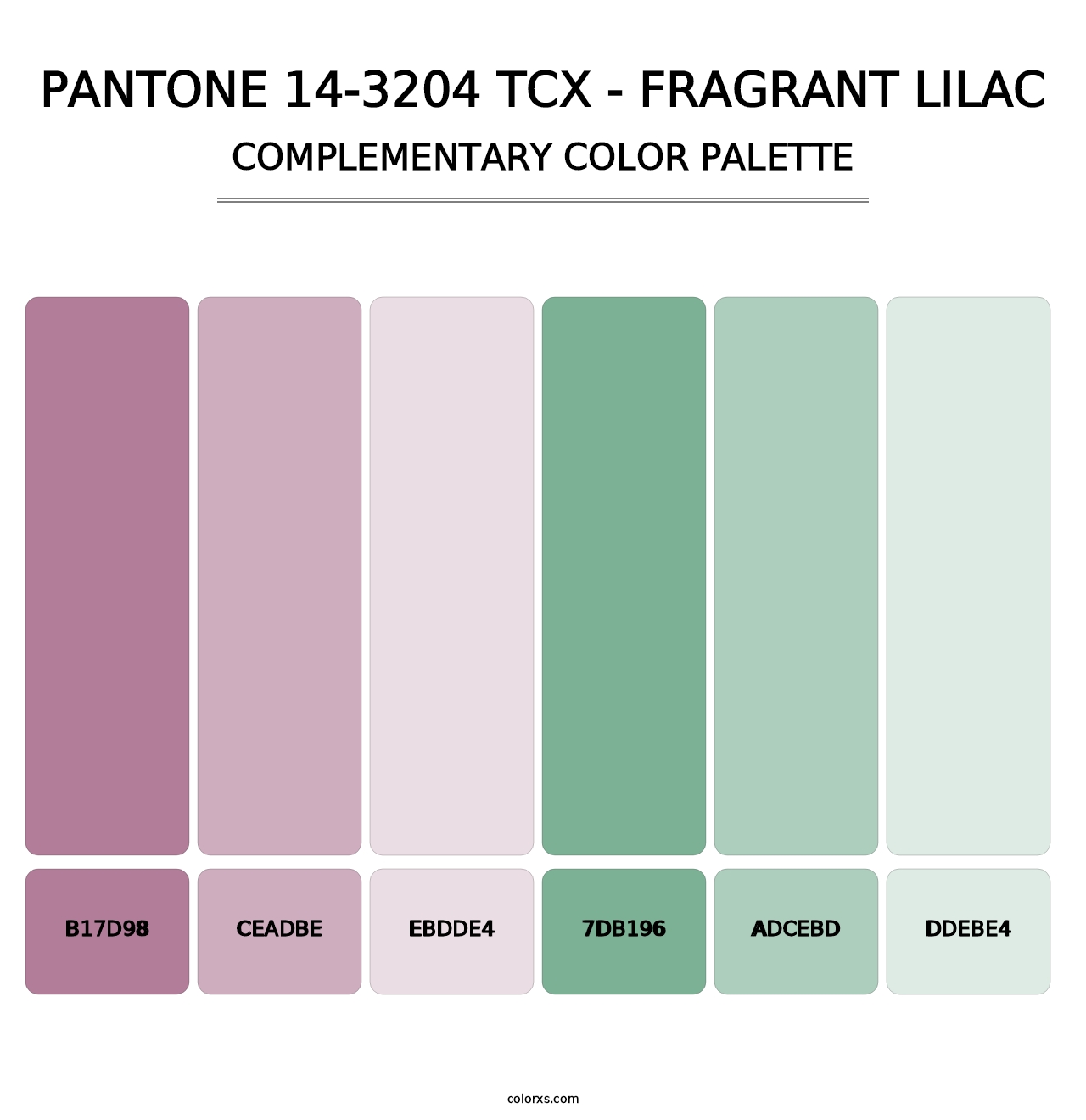 PANTONE 14-3204 TCX - Fragrant Lilac - Complementary Color Palette