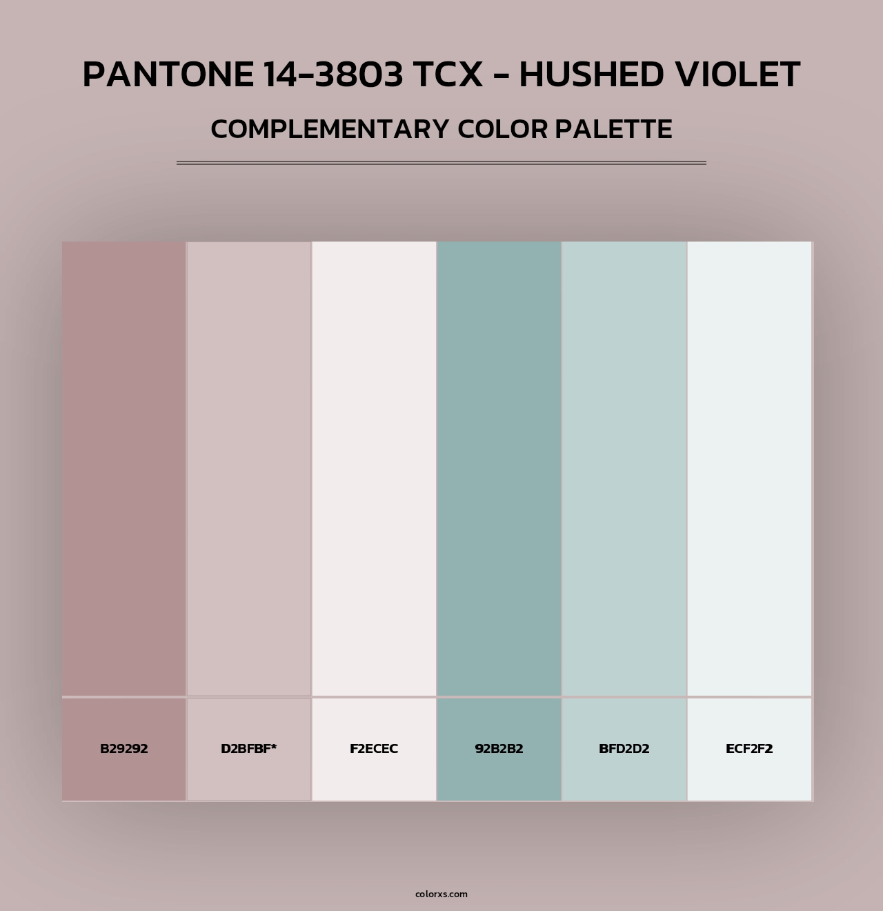 PANTONE 14-3803 TCX - Hushed Violet - Complementary Color Palette