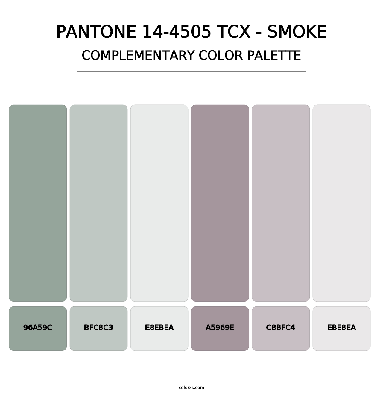 PANTONE 14-4505 TCX - Smoke - Complementary Color Palette